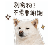 844072029