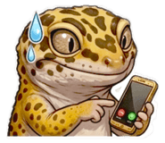 844072087