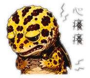 844072522