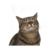 844073831