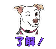 844074401