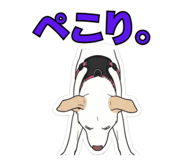844074417
