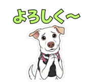 844074418