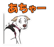 844074419