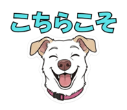 844074420