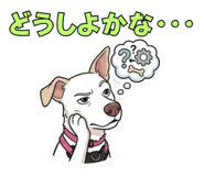 844074427
