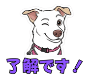 844074439