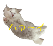 844074867