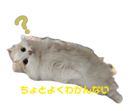 844074868