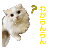 844074869