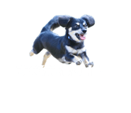 844075131