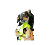 844075133