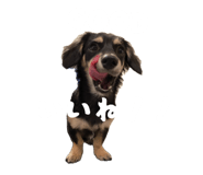 844075135