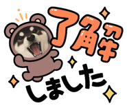 844075590