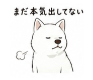 844076178