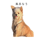 844076316