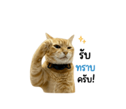 844078068