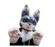 844078163