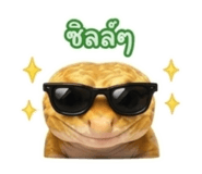 844079811