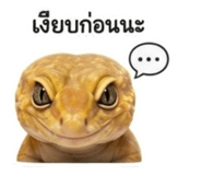844079815