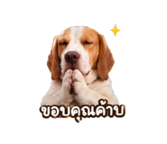 844079986