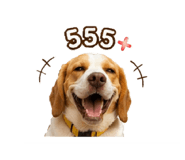 844079989