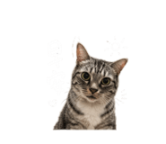 844080169