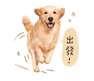 844080226