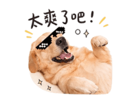 844081035
