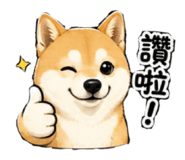 844081155