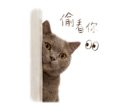844081631