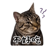 844081680