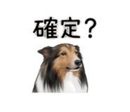 844082763