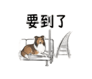 844082767