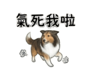 844082770