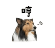 844082771