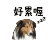 844082772