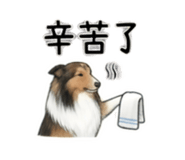 844082774