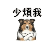 844082775