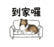 844082777