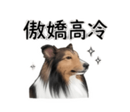 844082781