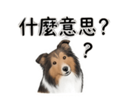 844082786
