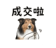 844082788