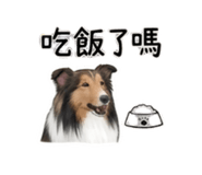 844082797