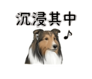 844082799