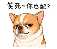 844082844