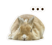 844083243