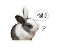 844084220