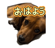 844084943