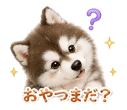 844085162